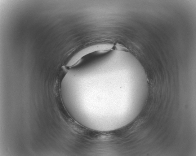 X0000066020364200603312055