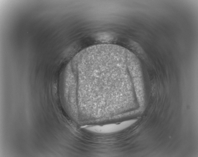 X0000066020365200603312055