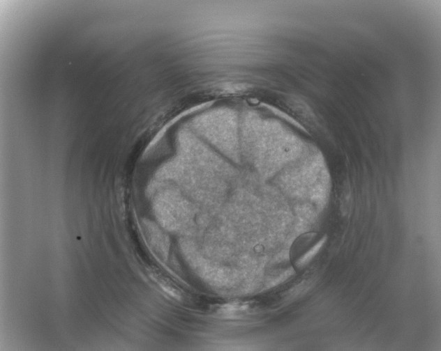 X0000066020366200603312055