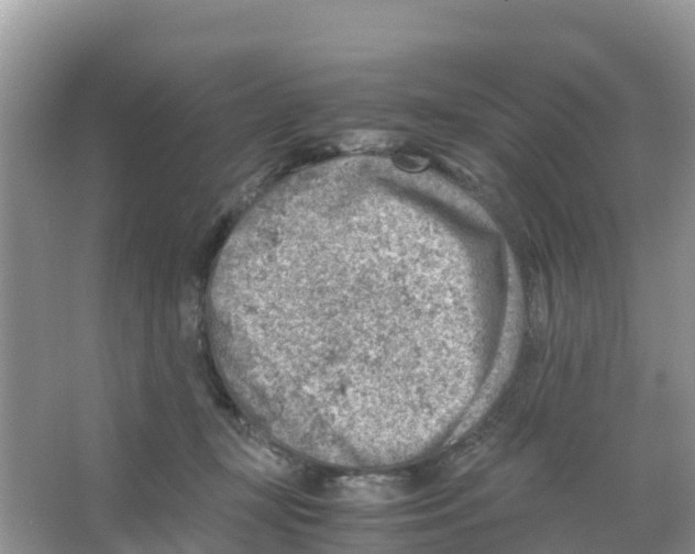 X0000066020367200603312055