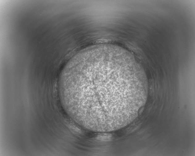 X0000066020369200603312055