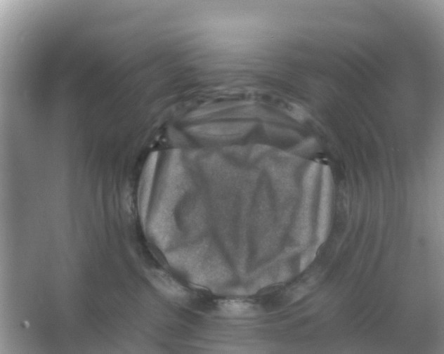 X0000066020380200603312055