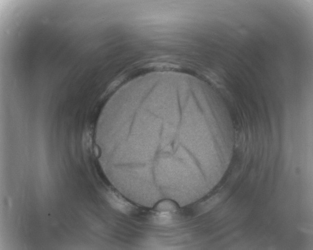 X0000066020382200603312055