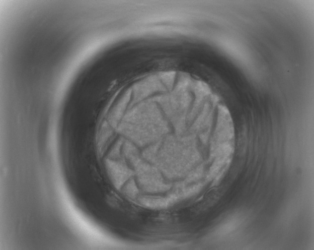 X0000066020383200603312055