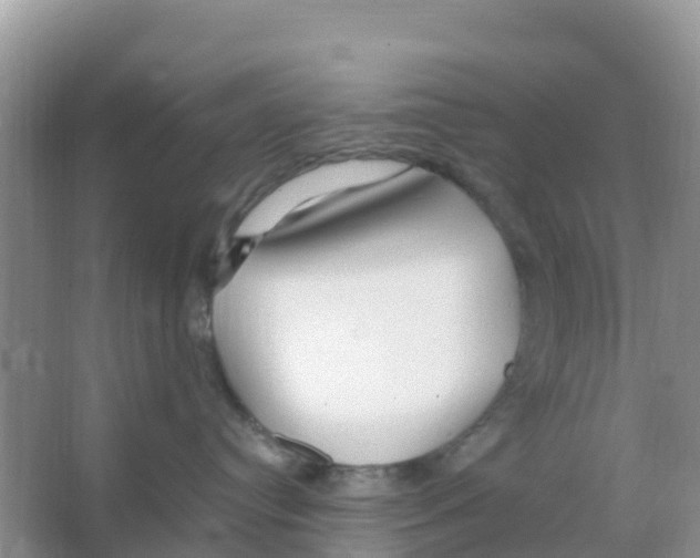 X0000066020384200603312055