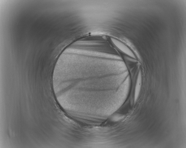 X0000066020385200603312054