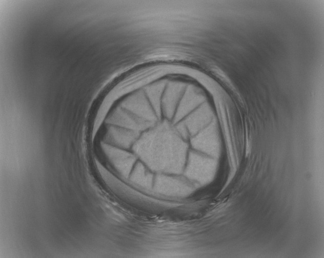 X0000066020387200603312054