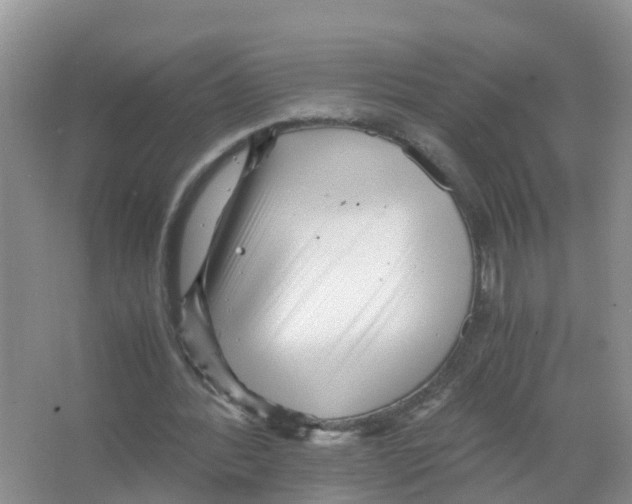 X0000066020388200603312054