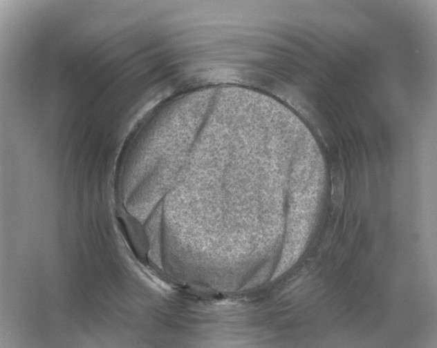 X0000066020390200603312054