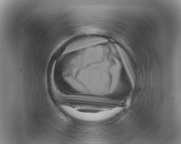 X0000066020391200603312054