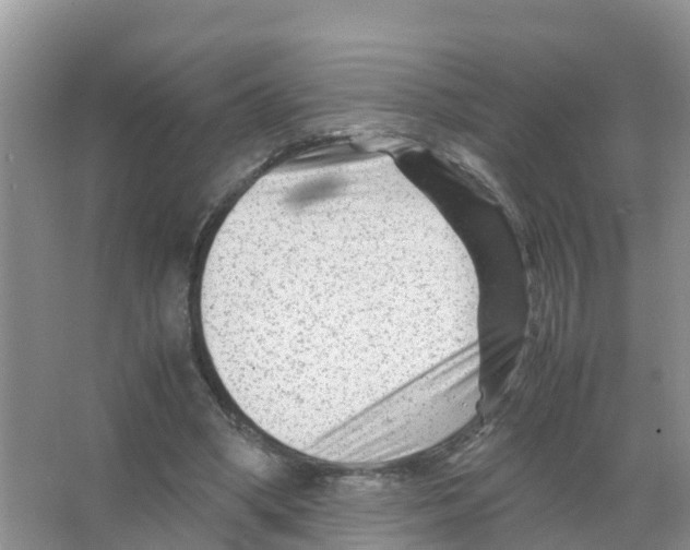 X0000066020394200603312054