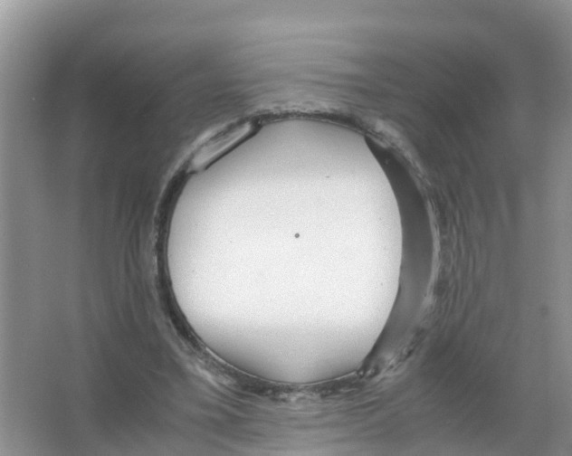 X0000066020395200603312054