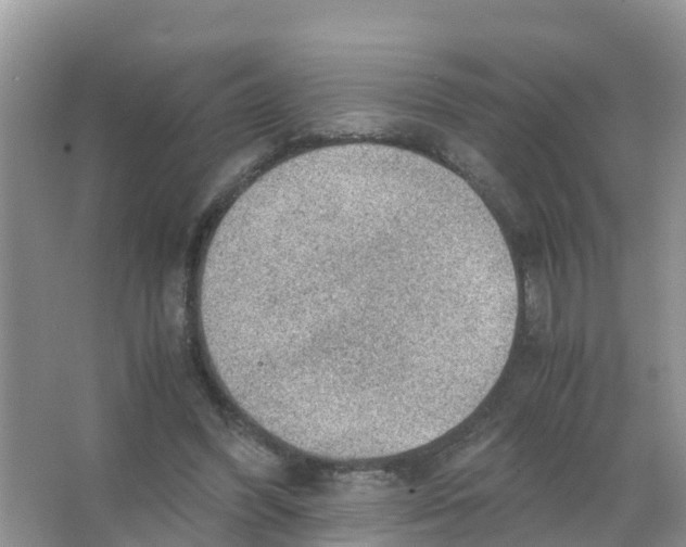 X0000066020396200603312054