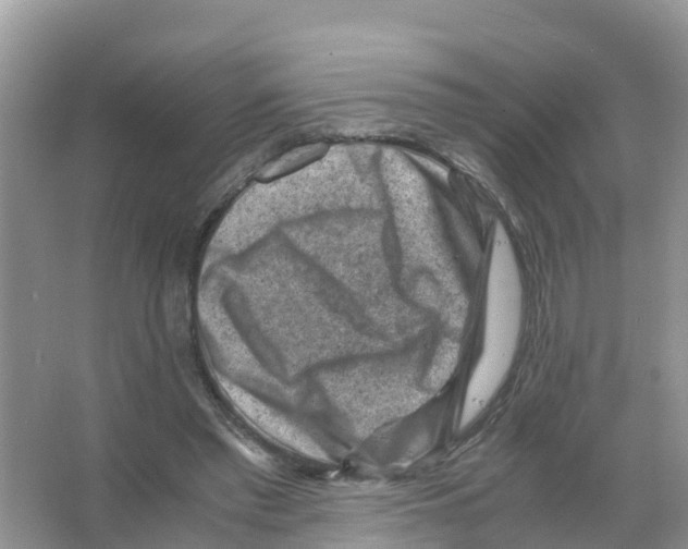 X0000066020397200603312054