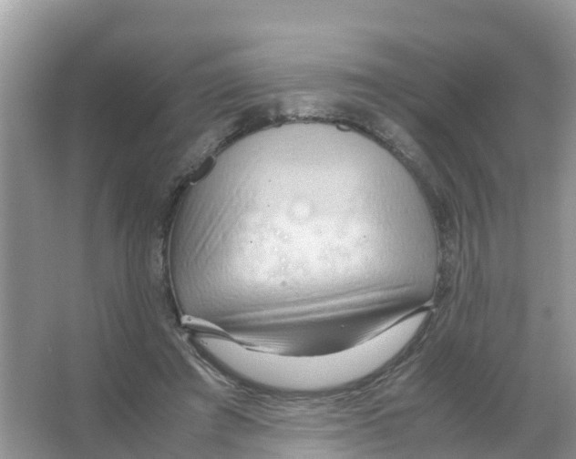 X0000066020401200603312054