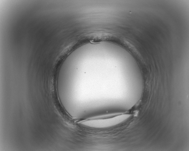 X0000066020403200603312054