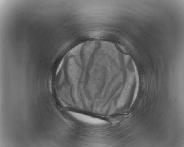 X0000066020404200603312054