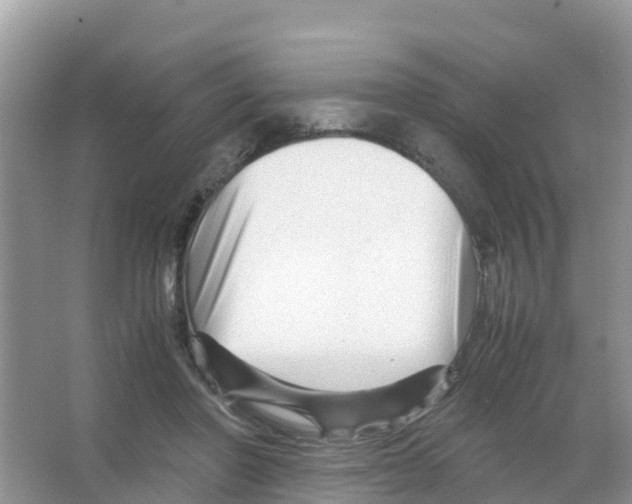 X0000066020406200603312054