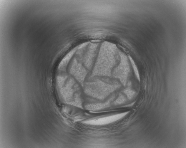 X0000066020407200603312054