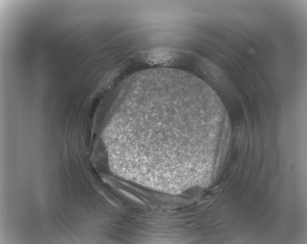 X0000066020408200603312054