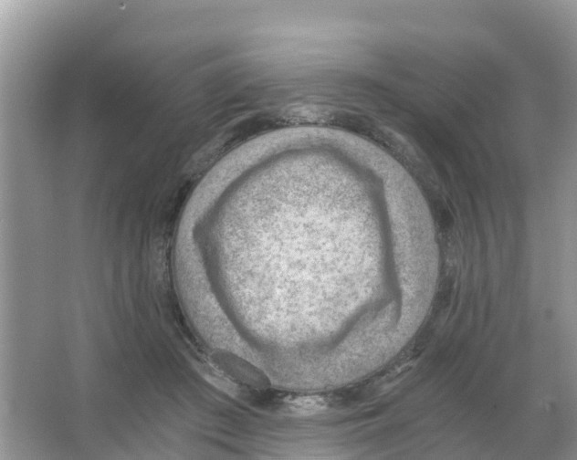 X0000066020409200603312054