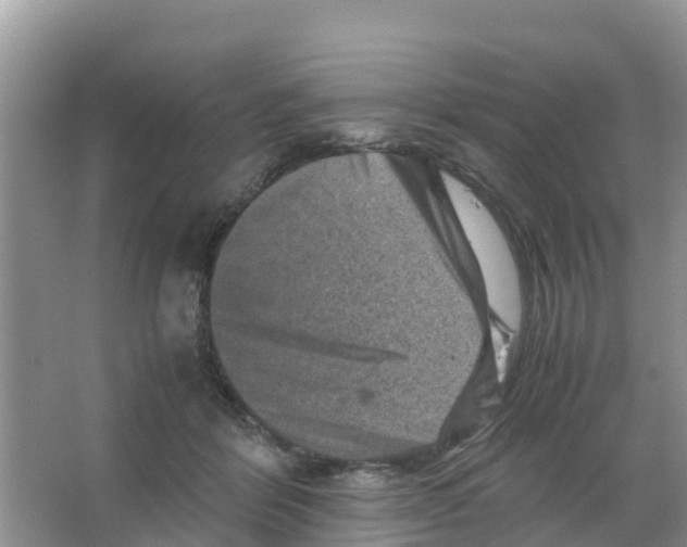 X0000066020412200603312054