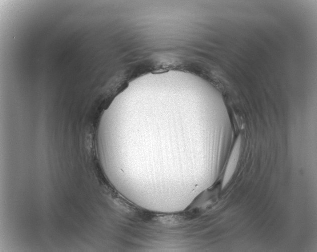 X0000066020417200603312054