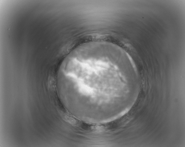 X0000066020419200603312054