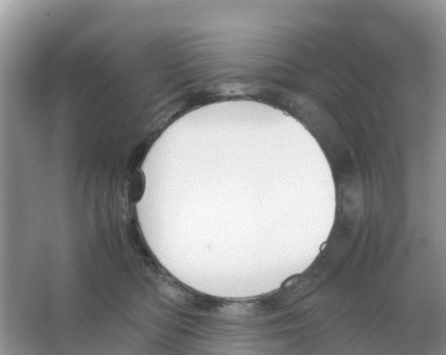 X0000066020422200603312054