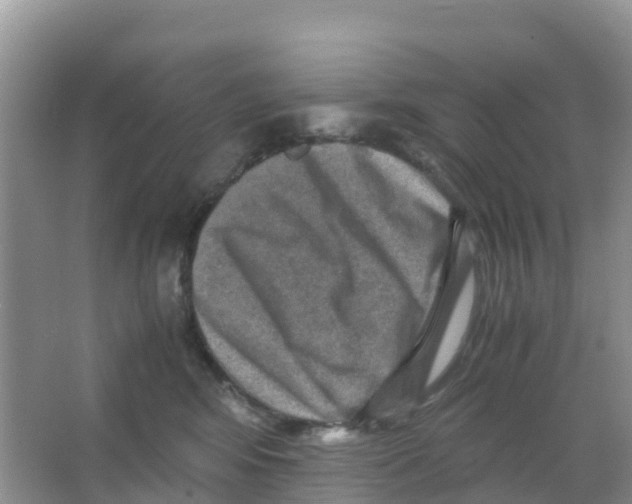 X0000066020424200603312054