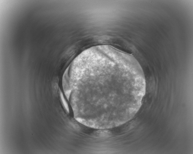 X0000066020427200603312054