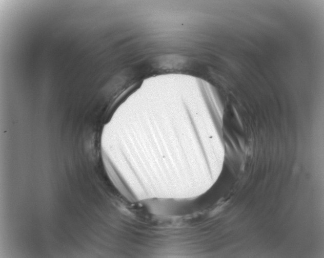 X0000066020428200603312054