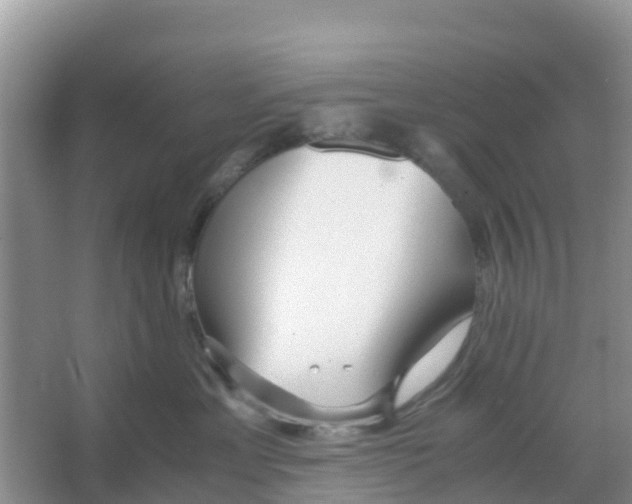 X0000066020429200603312054