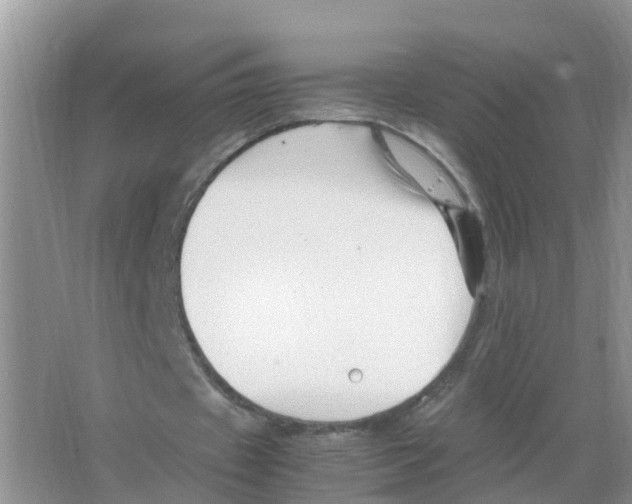 X0000066020433200603312053