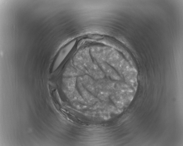 X0000066020434200603312053