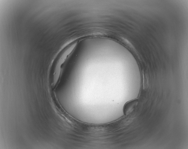 X0000066020435200603312053