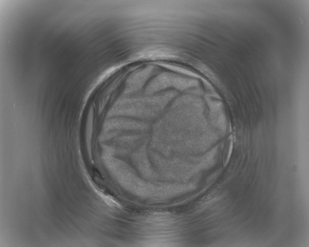 X0000066020438200603312053