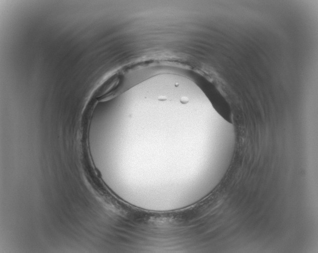 X0000066020440200603312053