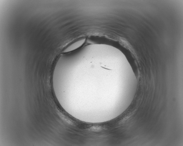 X0000066020441200603312053