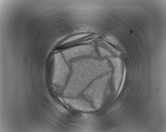 X0000066020442200603312053