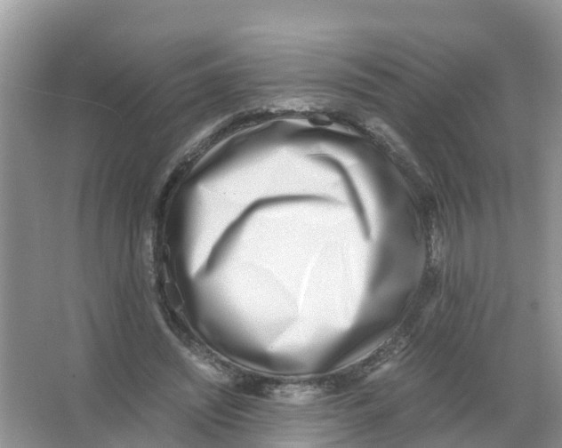 X0000066020444200603312053