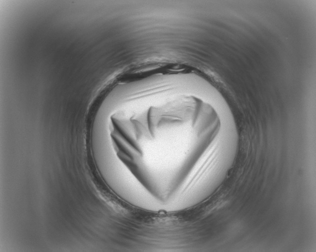 X0000066020446200603312053