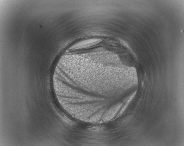 X0000066020447200603312053