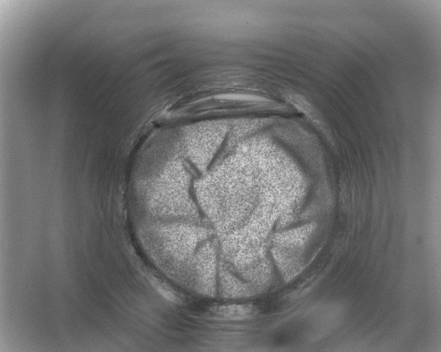 X0000066020449200603312053