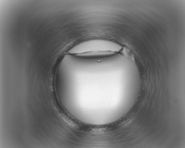 X0000066020450200603312053