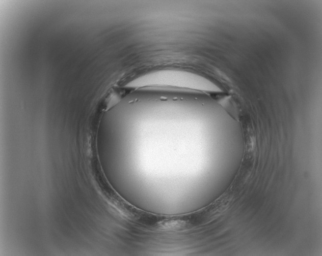 X0000066020452200603312053