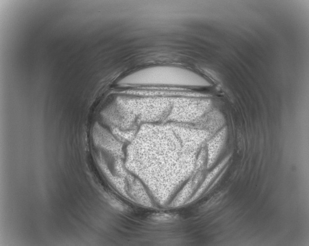 X0000066020453200603312053