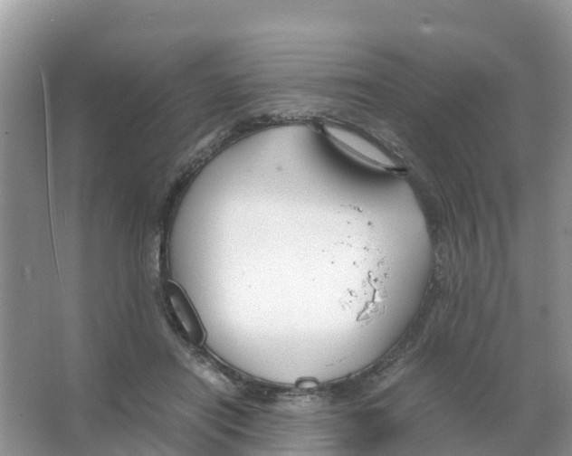 X0000066020454200603312053