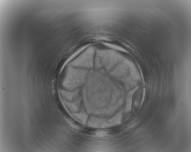 X0000066020462200603312053