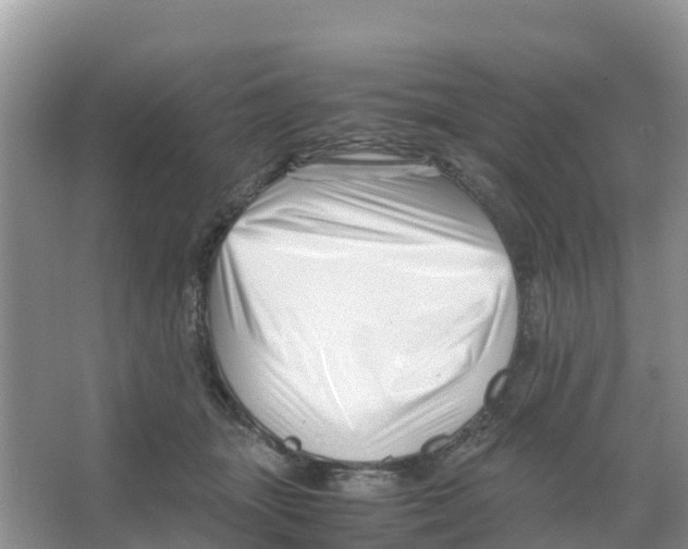 X0000066020463200603312053